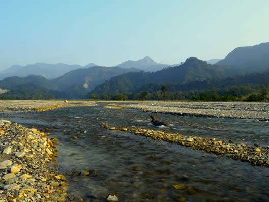 Jayanti Travel Guide