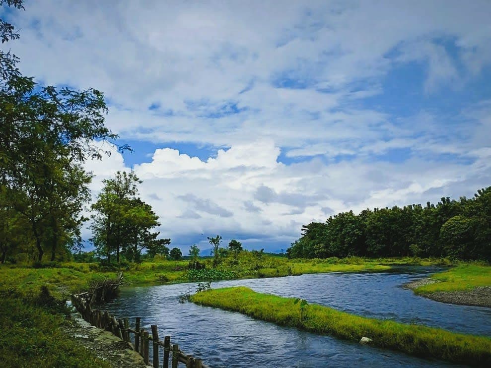 Kalchini Travel Guide