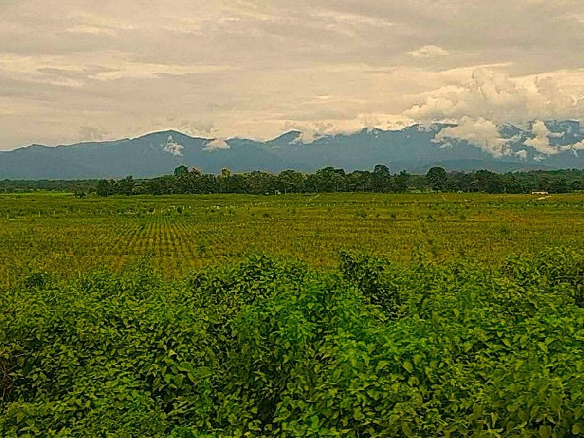 Hasimara Travel Guide